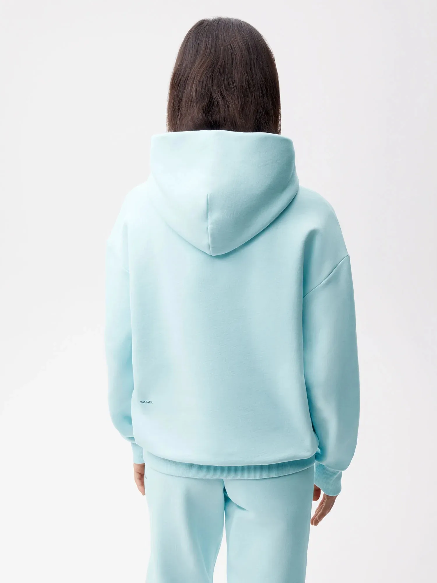 365 Heavyweight Hoodie—powder blue