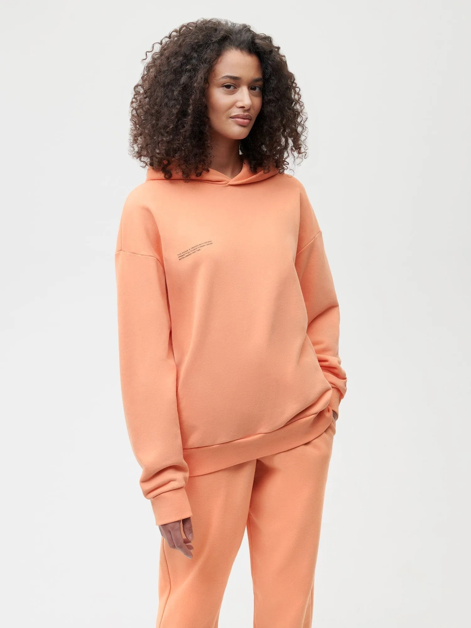 Archive 365 Midweight Hoodie—peach perfect