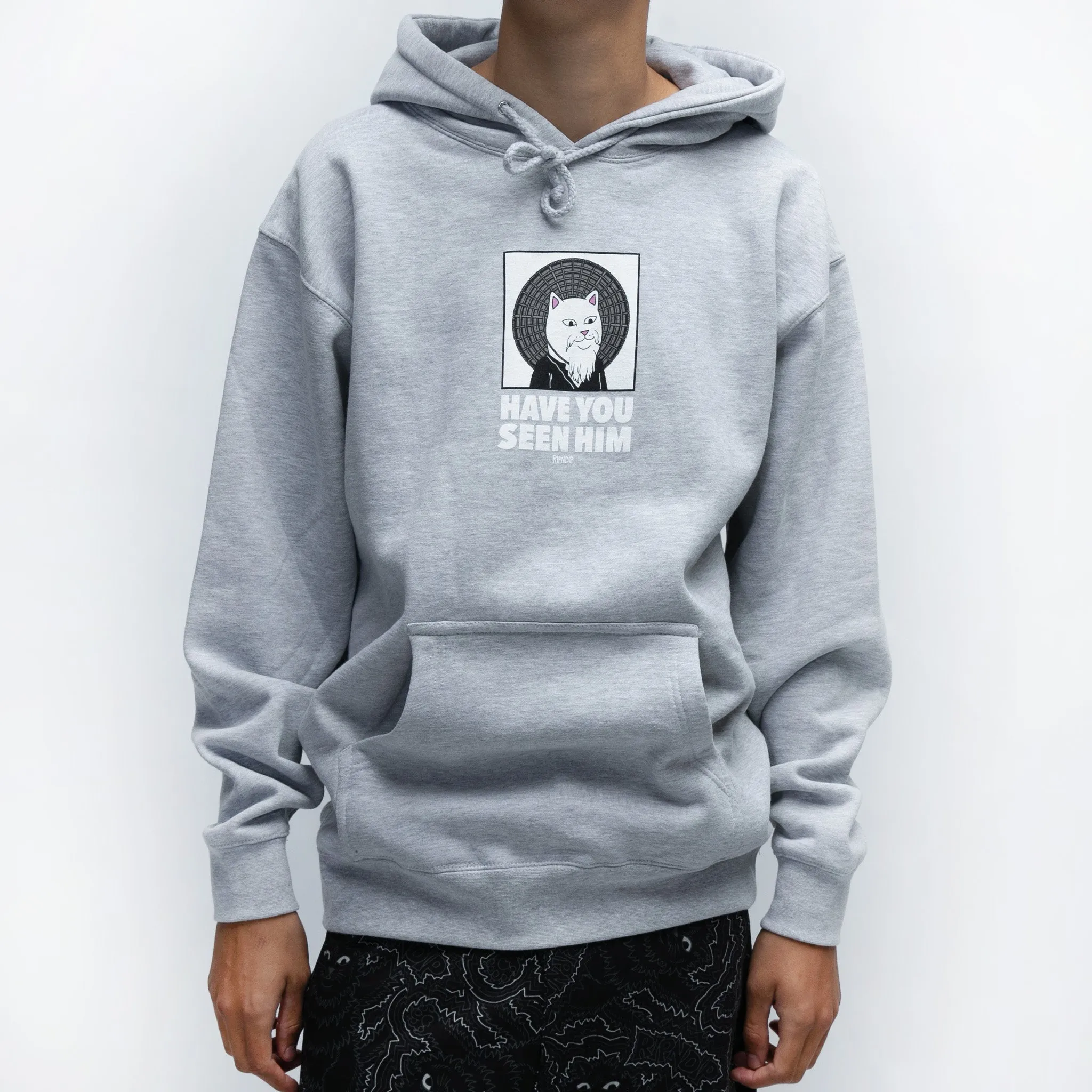 Have You Seen Him? Hoodie (Ash Heather)