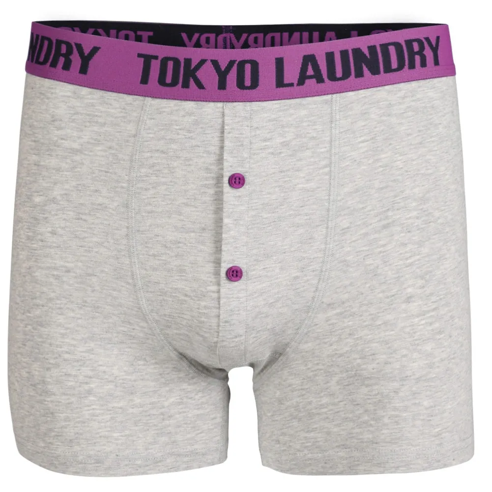 Headlam (2 Pack) Boxer Shorts Set in Dewberry / Deep Blue - Tokyo Laundry