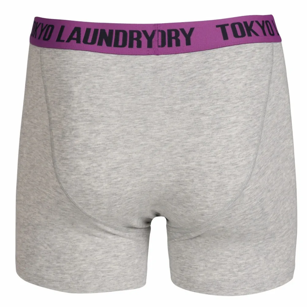 Headlam (2 Pack) Boxer Shorts Set in Dewberry / Deep Blue - Tokyo Laundry