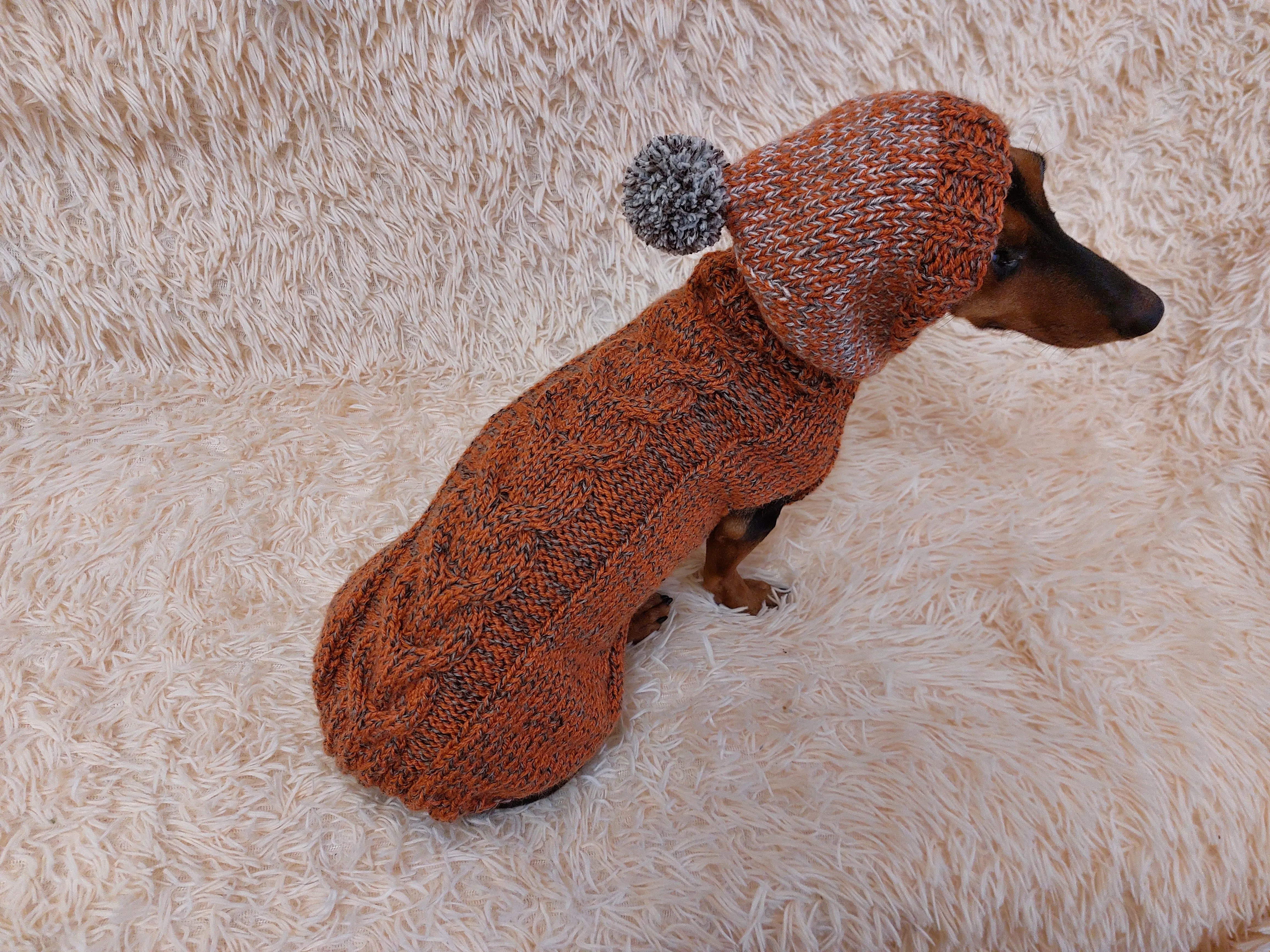 Hooded Dog Sweater, Sweater with hood for dachshund or small dog, sweatshirt knitted for dog