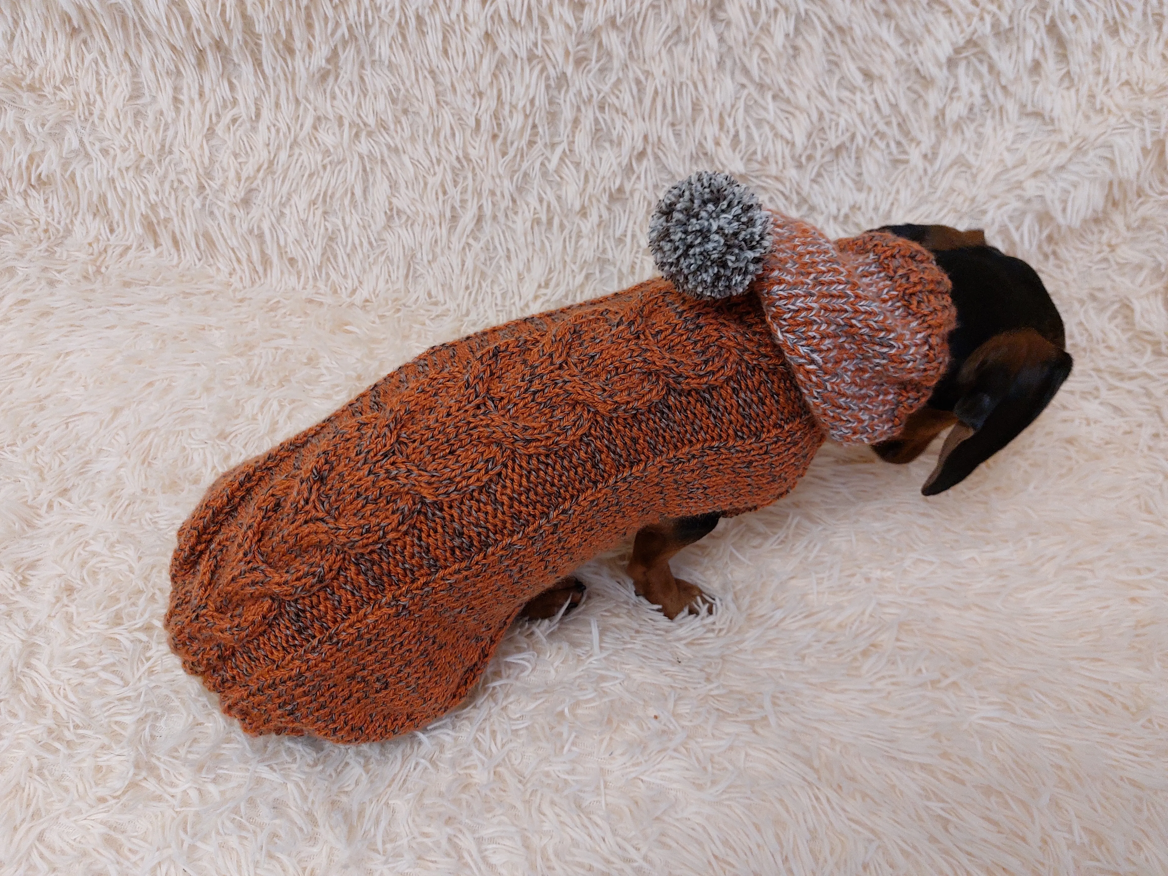 Hooded Dog Sweater, Sweater with hood for dachshund or small dog, sweatshirt knitted for dog