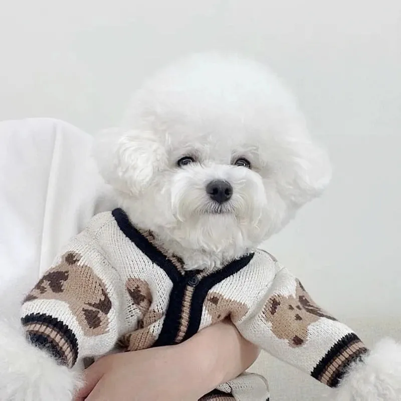 Luxury Striped Sweater for Small Pets - Chihuahua, Bichon Frise, and Cats