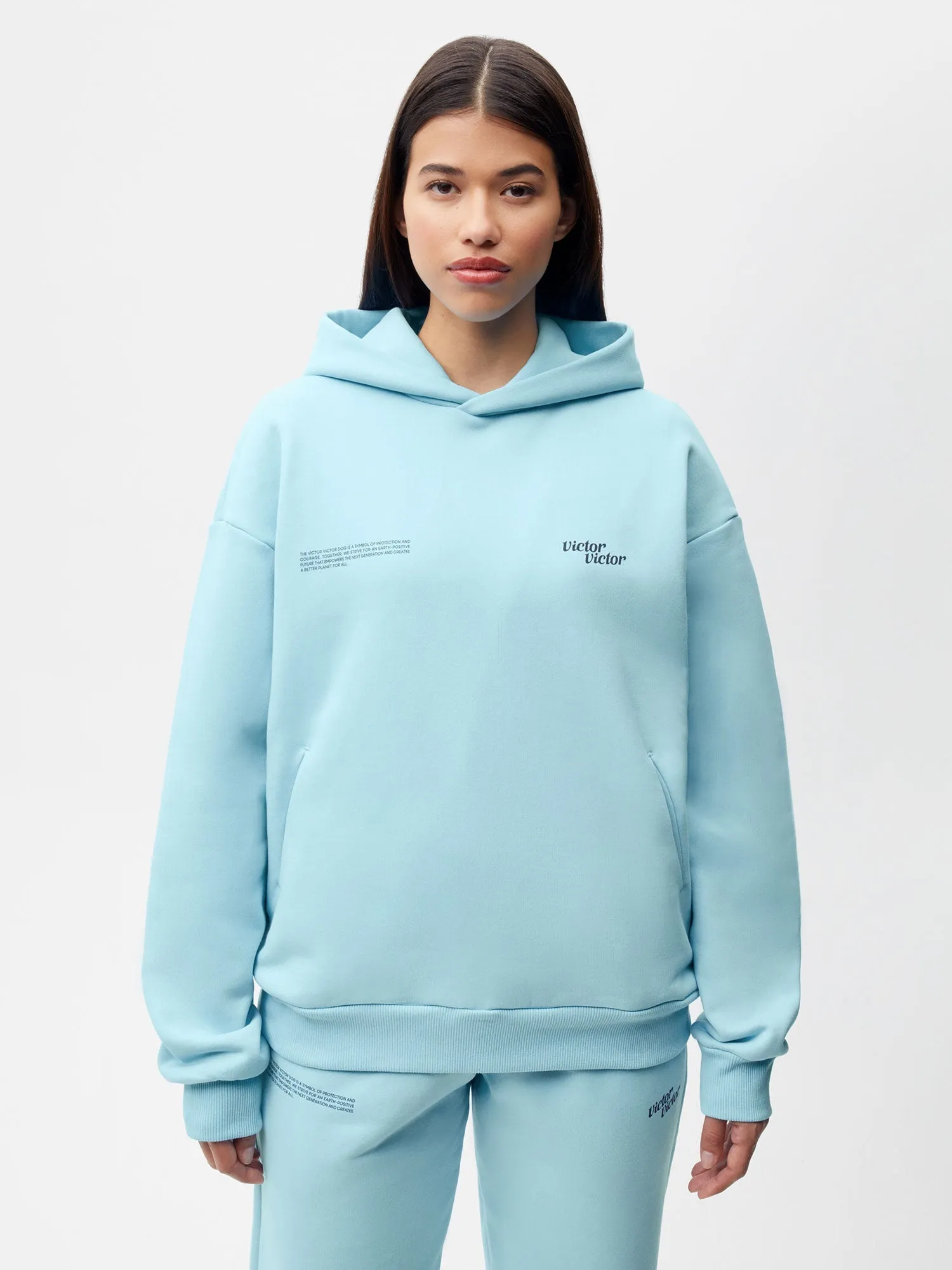 PANGAIA x Victor Victor Signature Hoodie—celestial blue