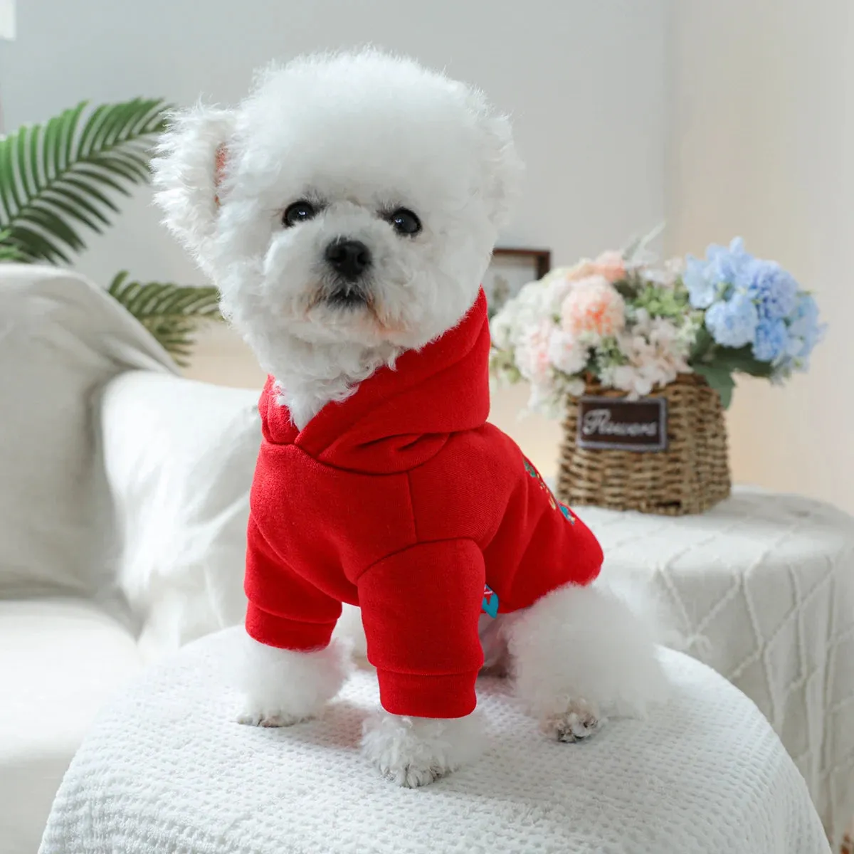 Pet Clothing Christmas Bell Hooded Hoodie Red Spring and Autumn Hoodie Coat Suitable for Small and Medium sized Dogs 1PC