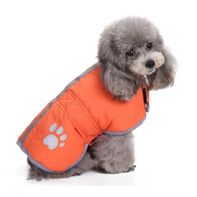 Reversible Safety Reflective Winter Vest For Small Dogs