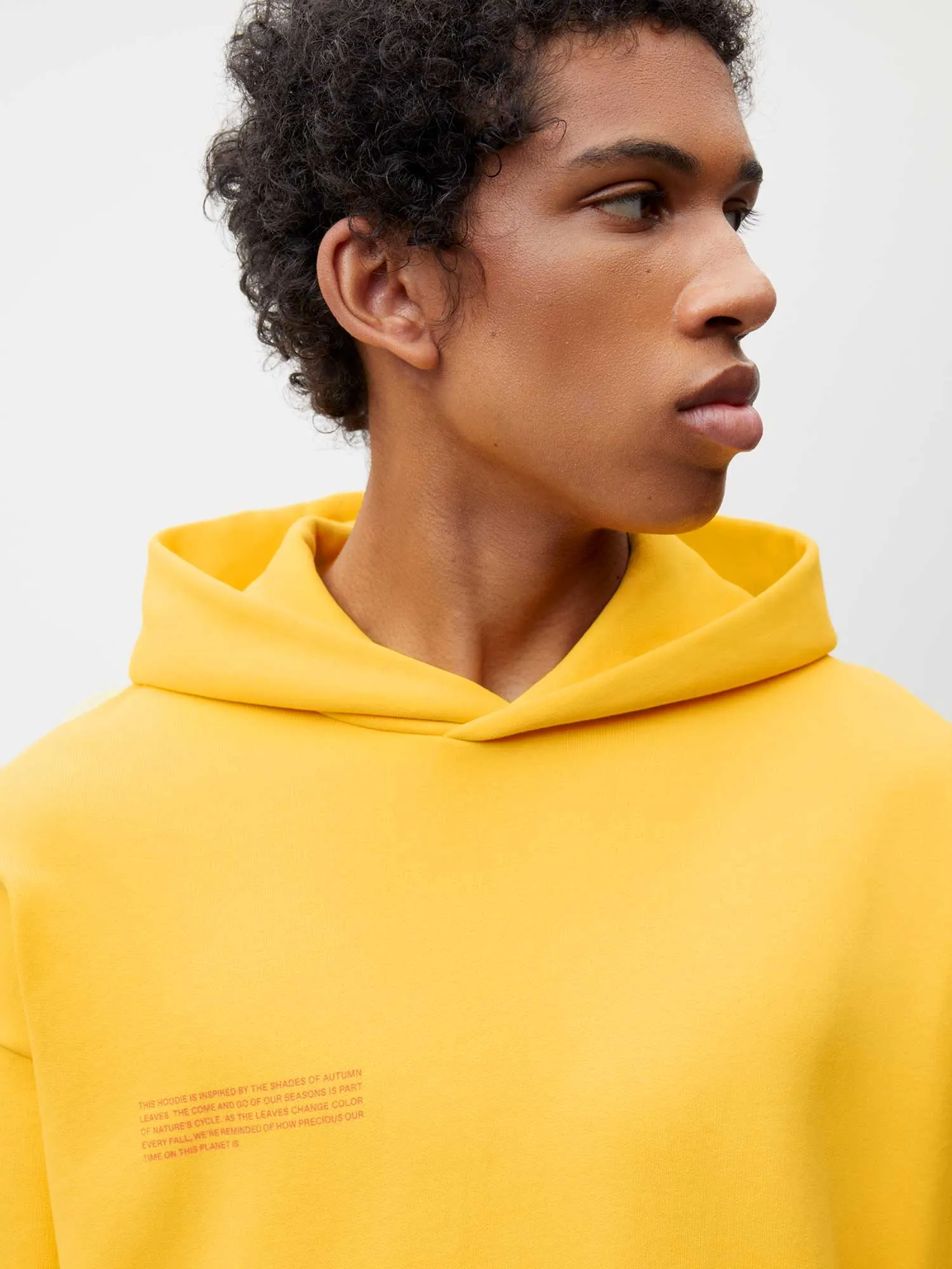 Signature Hoodie - Autumn Leaves—ginkgo yellow