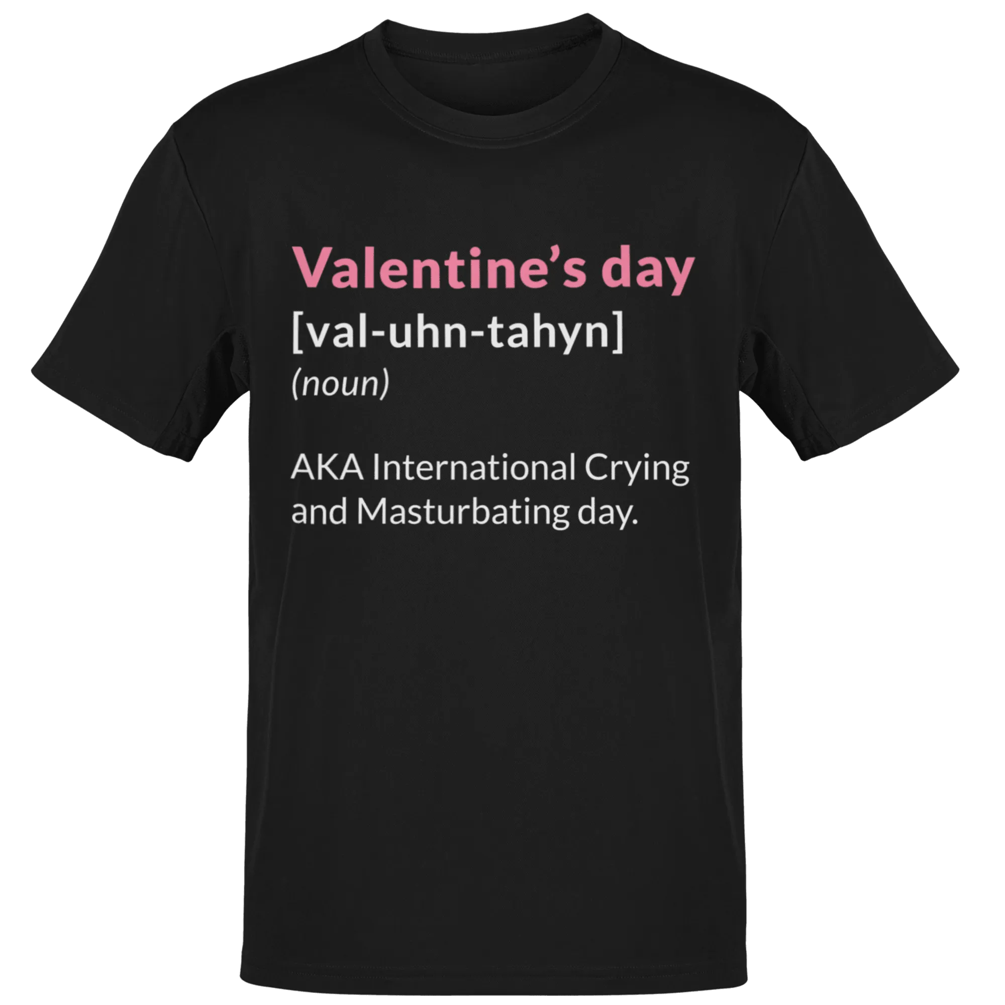 Valentine's Day Definition Also Known As Adult T-Shirt