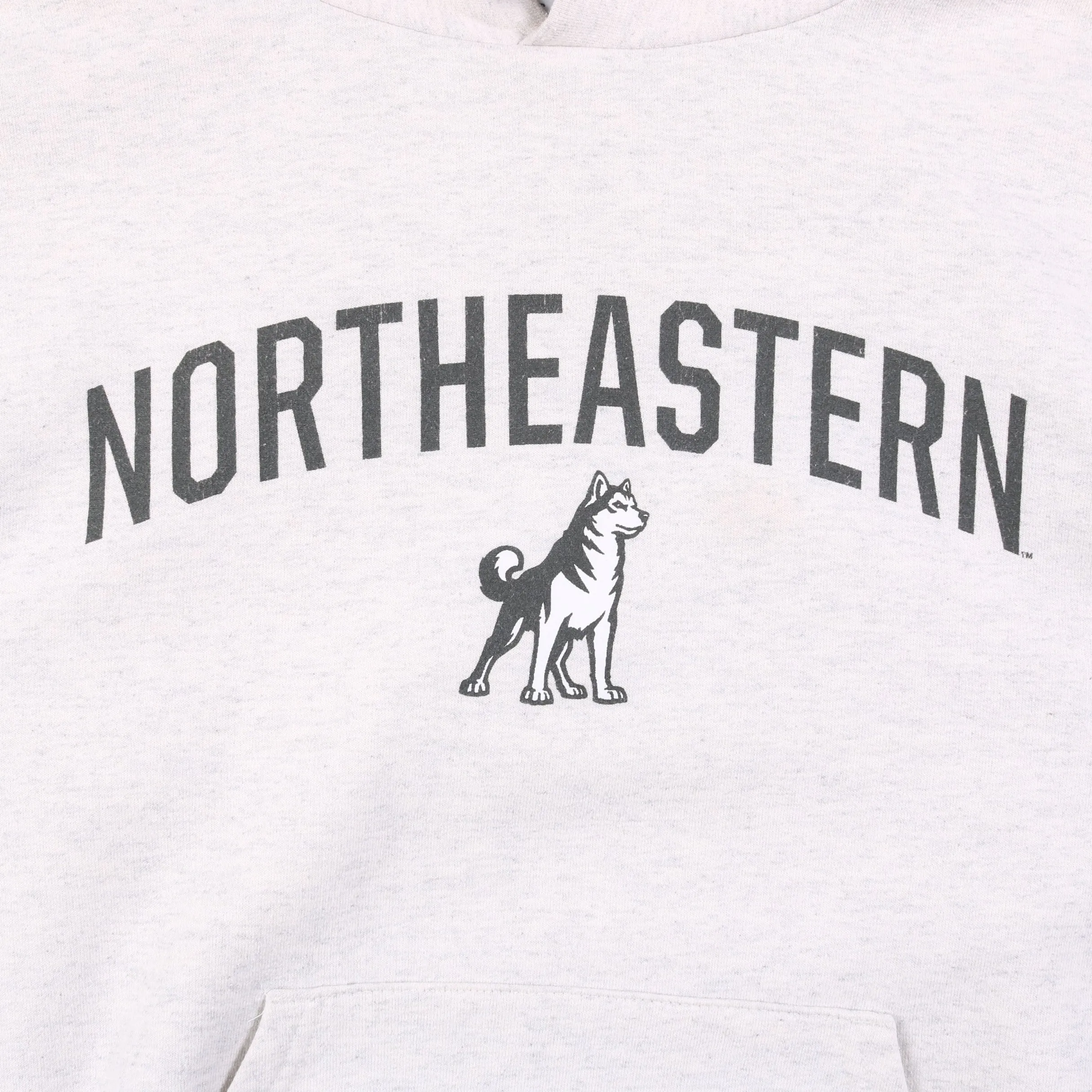 Vintage 'Northeastern' Champion Hooded Sweatshirt